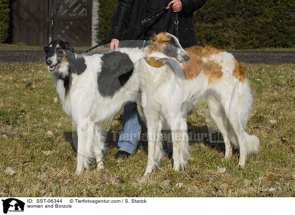 Frau und Barsois / woman and Borzois / SST-06344
