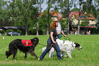 people with 2 Borzois
