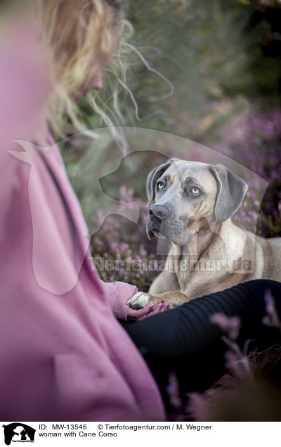 Frau mit Cane Corso / woman with Cane Corso / MW-13546