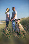pair with Cane Corso