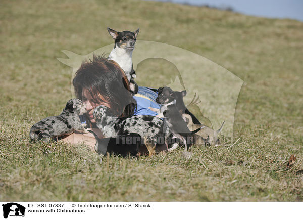 Frau mit Chihuahuas / woman with Chihuahuas / SST-07837