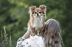 woman and Chihuahua