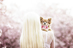 woman and Chihuahua