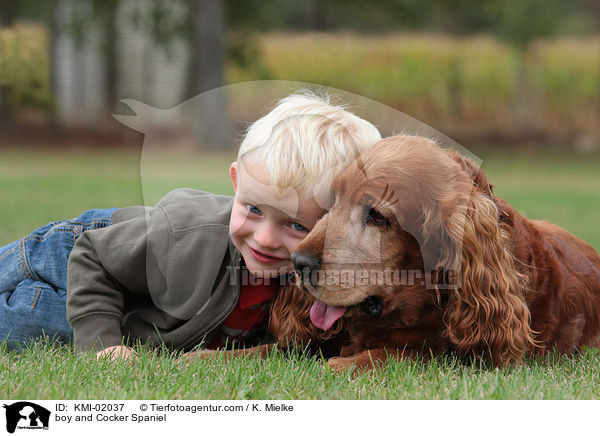 Junge und Cocker Spaniel / boy and Cocker Spaniel / KMI-02037