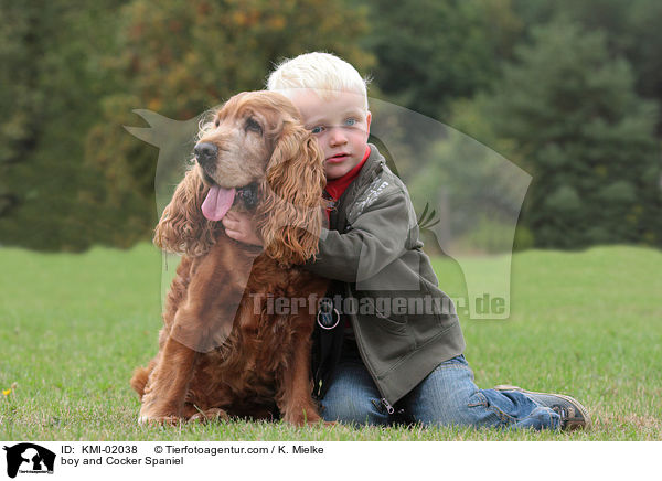 Junge und Cocker Spaniel / boy and Cocker Spaniel / KMI-02038