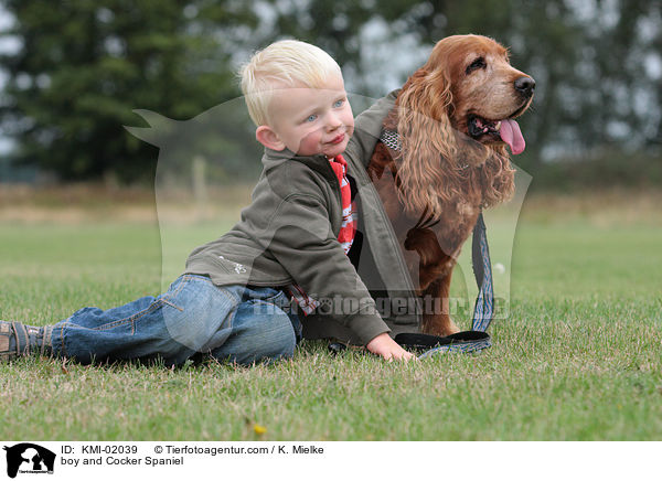 Junge und Cocker Spaniel / boy and Cocker Spaniel / KMI-02039