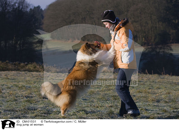 Hund spring Menschen an / dog jump at woman / CM-01531