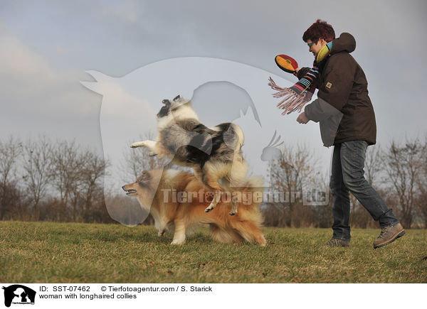 woman with longhaired collies / SST-07462