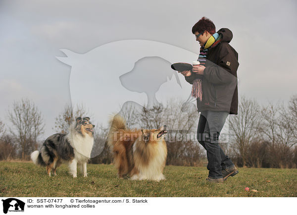 Frau mit Langhaarcollies / woman with longhaired collies / SST-07477