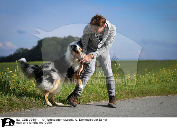 Mann und Langhaarcollie / man and longhaired Collie / CDE-02481