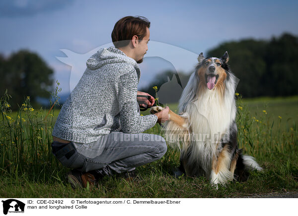 Mann und Langhaarcollie / man and longhaired Collie / CDE-02492