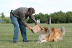 drilling guard dog