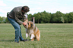 drilling guard dog