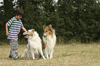 boy with collie
