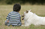 boy with collie