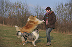 woman with longhaired collies