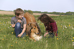 childrens with Collie