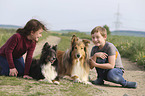childrens with Collie and Sheltie