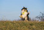 female Collie