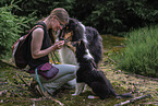 male Collies
