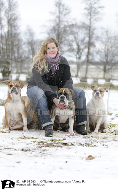 woman with bulldogs / AP-07593