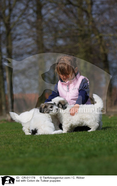 Kind mit Coton de Tulear Welpen / kid with Coton de Tulear puppies / CR-01178
