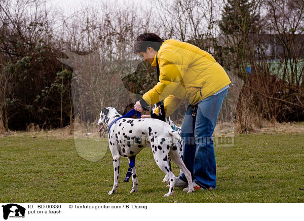 anleinen / put on a leash / BD-00330