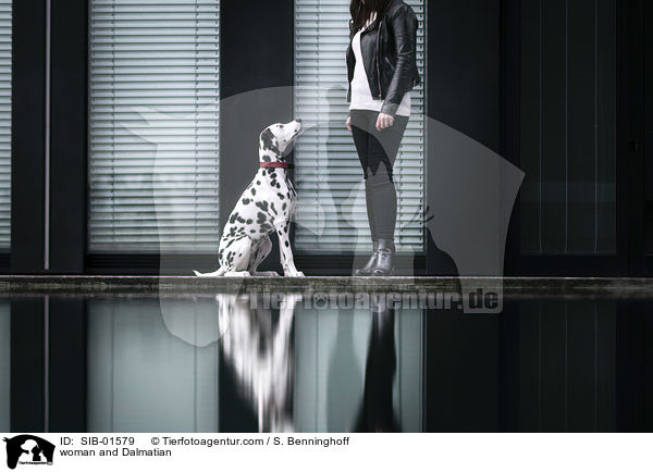 Frau und Dalmatiner / woman and Dalmatian / SIB-01579