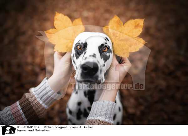 Mensch und Dalmatiner / human and Dalmatian / JEB-01057