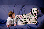 child with dog
