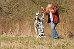 play with the dog