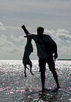playing Dalmatian