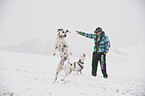 man and dogs