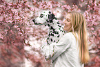 Dalmatian