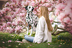Dalmatian