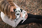 Dalmatian Puppy