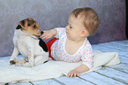 Kid and Dansk Svensk Gaardshund Puppy