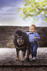 Do Khyi with boy