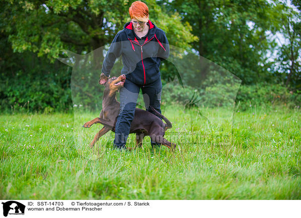 Frau und Dobermann / woman and Doberman Pinscher / SST-14703