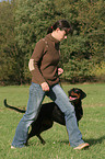 woman walks with Doberman Pinscher