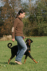 woman walks with Doberman Pinscher