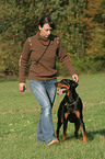 woman walks with Doberman Pinscher
