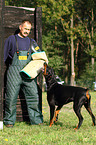 Doberman Pinscher