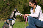 giving treat