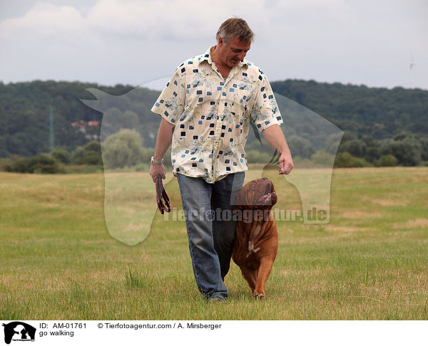 bei Fu / go walking / AM-01761