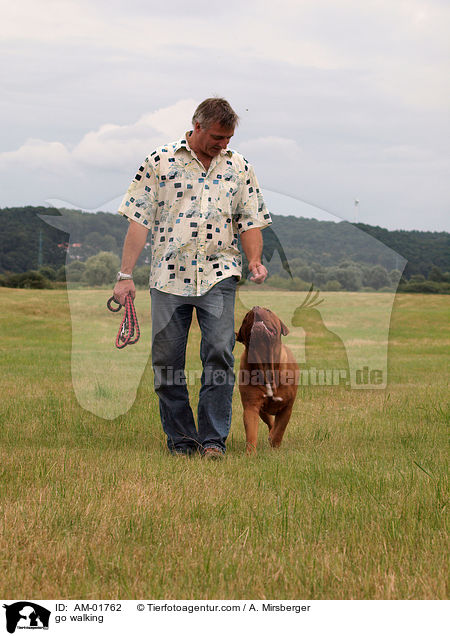bei Fu / go walking / AM-01762