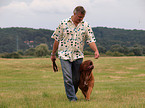 go walking