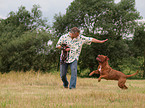 man playing with Bordeauxdog