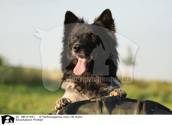Eloschaboro Portrait / MK-01481