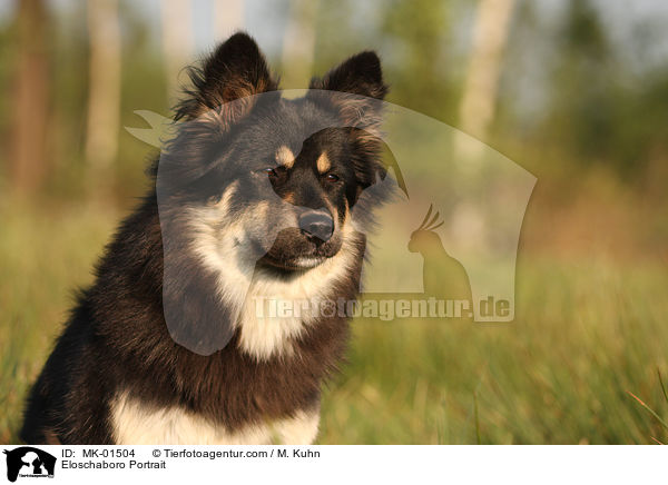 Eloschaboro Portrait / MK-01504